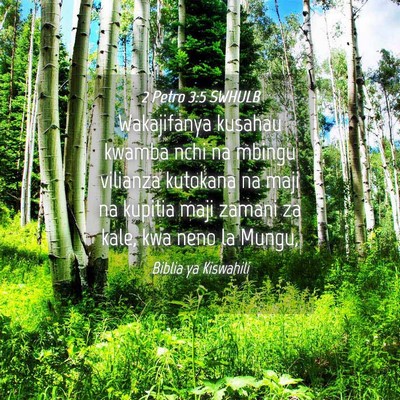 Picture 04 - 2 Petro 3:5 SWHULB - Wakajifanya kusahau kwamba nchi na mbingu - Bible Verse Picture