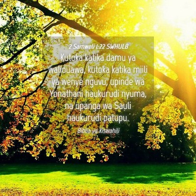 Picture 04 - 2 Samweli 1:22 SWHULB - Kutoka katika damu ya waliouawa, kutoka katika - Bible Verse Picture