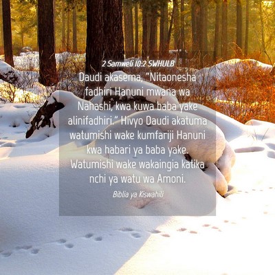 Picture 04 - 2 Samweli 10:2 SWHULB - Daudi akasema, “Nitaonesha fadhiri Hanuni mwana - Bible Verse Picture