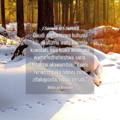 Picture 04 - 2 Samweli 10:5 SWHULB - Daudi alipoelezwa kuhusu hili, akatuma watu - Bible Verse Picture
