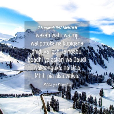 Picture 04 - 2 Samweli 11:17 SWHULB - Wakati watu wa mji walipotoka na kupigana dhidi - Bible Verse Picture