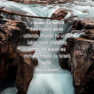Picture 04 - 2 Samweli 12:12 SWHULB - Kwa maana wewe ulitenda dhambi hii sirini, lakini - Bible Verse Picture