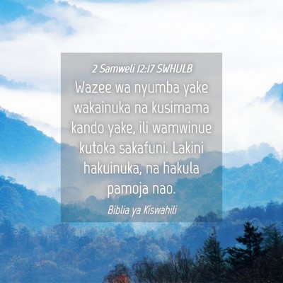 Picture 04 - 2 Samweli 12:17 SWHULB - Wazee wa nyumba yake wakainuka na kusimama kando - Bible Verse Picture