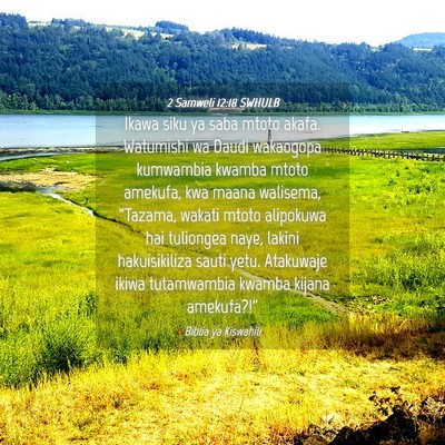 Picture 04 - 2 Samweli 12:18 SWHULB - Ikawa siku ya saba mtoto akafa. Watumishi wa - Bible Verse Picture