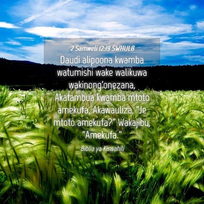 Picture 04 - 2 Samweli 12:19 SWHULB - Daudi alipoona kwamba watumishi wake walikuwa - Bible Verse Picture