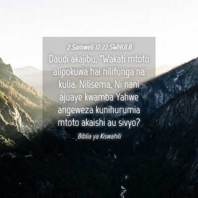 Picture 04 - 2 Samweli 12:22 SWHULB - Daudi akajibu, “Wakati mtoto alipokuwa hai - Bible Verse Picture