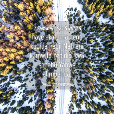 Picture 04 - 2 Samweli 12:25 SWHULB - naye akatuma neno kupitia nabii Nathani kumwita - Bible Verse Picture