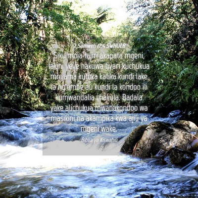 Picture 04 - 2 Samweli 12:4 SWHULB - Siku moja tajiri akapata mgeni, lakini yeye - Bible Verse Picture