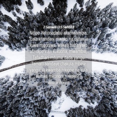 Picture 04 - 2 Samweli 13:5 SWHULB - Ndipo Yehonadabu akamwambia, “Lala kitandani - Bible Verse Picture