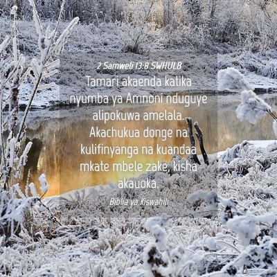 Picture 04 - 2 Samweli 13:8 SWHULB - Tamari akaenda katika nyumba ya Amnoni nduguye - Bible Verse Picture