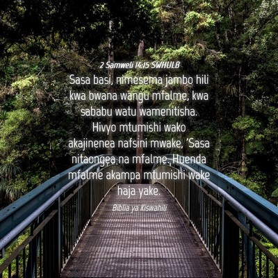Picture 04 - 2 Samweli 14:15 SWHULB - Sasa basi, nimesema jambo hili kwa bwana wangu - Bible Verse Picture