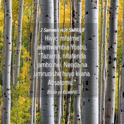 Picture 04 - 2 Samweli 14:21 SWHULB - Hivyo mfalme akamwambia Yoabu, “Tazama, - Bible Verse Picture