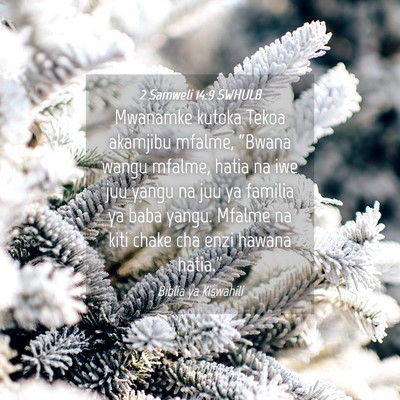 Picture 04 - 2 Samweli 14:9 SWHULB - Mwanamke kutoka Tekoa akamjibu mfalme, “Bwana - Bible Verse Picture