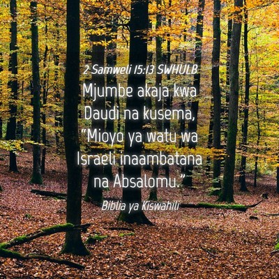 Picture 04 - 2 Samweli 15:13 SWHULB - Mjumbe akaja kwa Daudi na kusema, “Mioyo ya - Bible Verse Picture