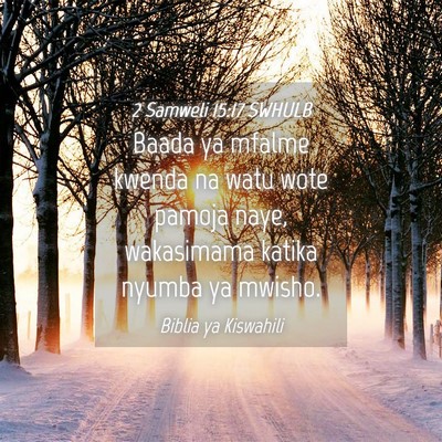 Picture 04 - 2 Samweli 15:17 SWHULB - Baada ya mfalme kwenda na watu wote pamoja naye, - Bible Verse Picture