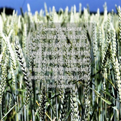 Picture 04 - 2 Samweli 15:18 SWHULB - Jeshi lake lote likaenda pamoja naye na mbele - Bible Verse Picture