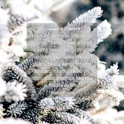Picture 04 - 2 Samweli 15:21 SWHULB - Lakini Itai akamjibu mfalme na kusema, “Kama - Bible Verse Picture