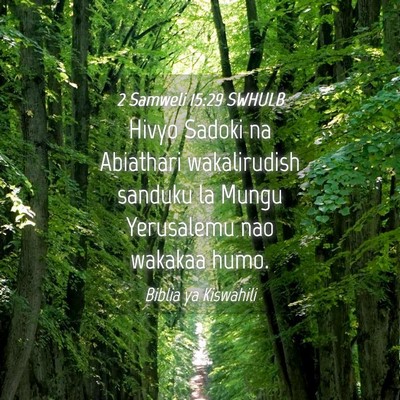 Picture 04 - 2 Samweli 15:29 SWHULB - Hivyo Sadoki na Abiathari wakalirudish sanduku la - Bible Verse Picture