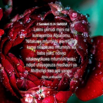 Picture 04 - 2 Samweli 15:34 SWHULB - Lakini ukirudi mjini na kumwambia Absalomu, - Bible Verse Picture
