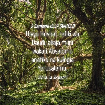 Picture 04 - 2 Samweli 15:37 SWHULB - Hivyo Hushai, rafiki wa Daudi, akaja mjini wakati - Bible Verse Picture
