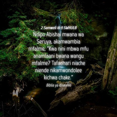 Picture 04 - 2 Samweli 16:9 SWHULB - Ndipo Abishai mwana wa Seruya, akamwambia mfalme, - Bible Verse Picture