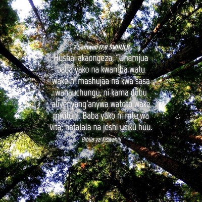 Picture 04 - 2 Samweli 17:8 SWHULB - Hushai akaongeza, “Unamjua baba yako na kwamba - Bible Verse Picture