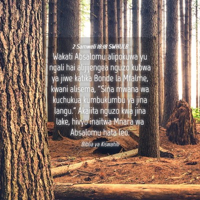 Picture 04 - 2 Samweli 18:18 SWHULB - Wakati Absalomu alipokuwa yu ngali hai - Bible Verse Picture