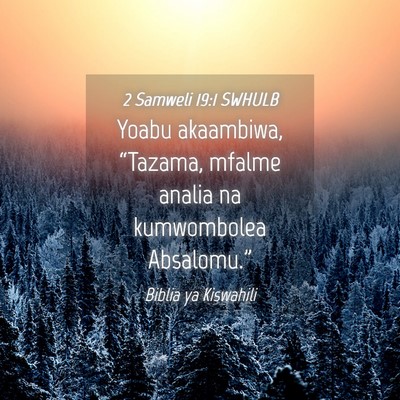 Picture 04 - 2 Samweli 19:1 SWHULB - Yoabu akaambiwa, “Tazama, mfalme analia na - Bible Verse Picture