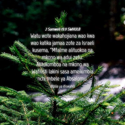 Picture 04 - 2 Samweli 19:9 SWHULB - Watu wote wakahojiana wao kwa wao katika jamaa - Bible Verse Picture