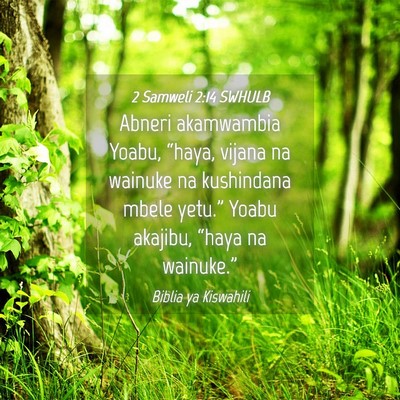 Picture 04 - 2 Samweli 2:14 SWHULB - Abneri akamwambia Yoabu, “haya, vijana na - Bible Verse Picture