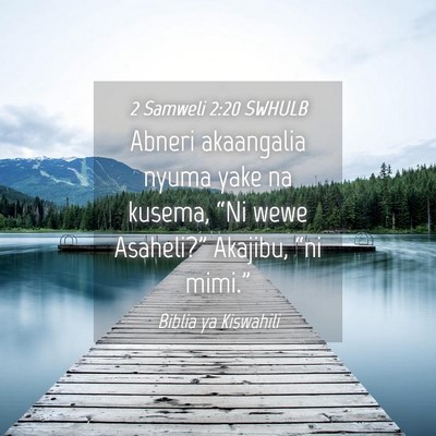 Picture 04 - 2 Samweli 2:20 SWHULB - Abneri akaangalia nyuma yake na kusema, “Ni - Bible Verse Picture