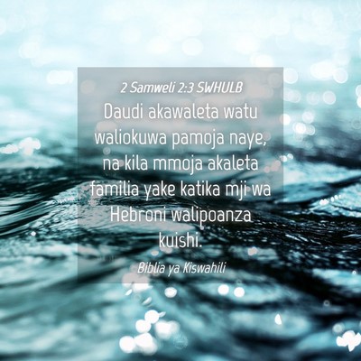 Picture 04 - 2 Samweli 2:3 SWHULB - Daudi akawaleta watu waliokuwa pamoja naye, na - Bible Verse Picture