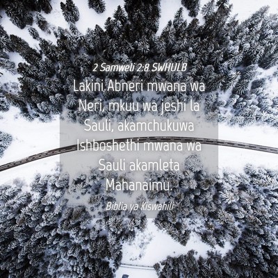 Picture 04 - 2 Samweli 2:8 SWHULB - Lakini Abneri mwana wa Neri, mkuu wa jeshi la - Bible Verse Picture