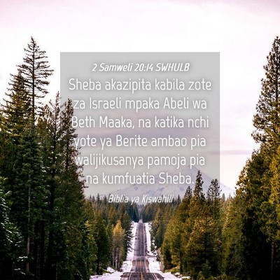 Picture 04 - 2 Samweli 20:14 SWHULB - Sheba akazipita kabila zote za Israeli mpaka - Bible Verse Picture