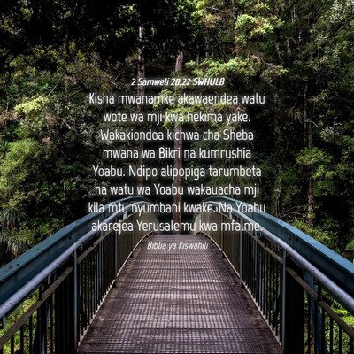 Picture 04 - 2 Samweli 20:22 SWHULB - Kisha mwanamke akawaendea watu wote wa mji kwa - Bible Verse Picture