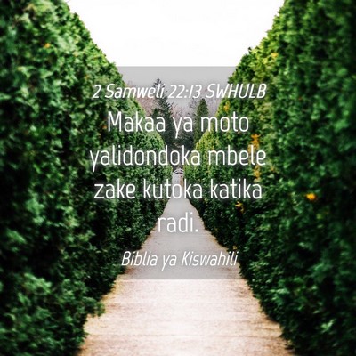 Picture 04 - 2 Samweli 22:13 SWHULB - Makaa ya moto yalidondoka mbele zake kutoka - Bible Verse Picture