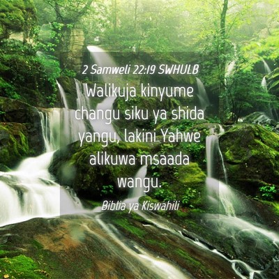 Picture 04 - 2 Samweli 22:19 SWHULB - Walikuja kinyume changu siku ya shida yangu, - Bible Verse Picture
