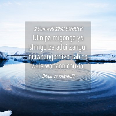Picture 04 - 2 Samweli 22:41 SWHULB - Ulinipa migongo ya shingo za adui zangu; - Bible Verse Picture