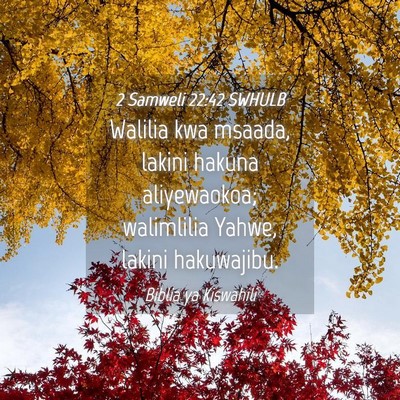 Picture 04 - 2 Samweli 22:42 SWHULB - Walilia kwa msaada, lakini hakuna aliyewaokoa; - Bible Verse Picture