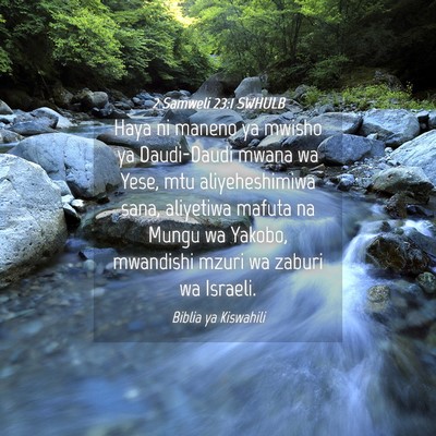 Picture 04 - 2 Samweli 23:1 SWHULB - Haya ni maneno ya mwisho ya Daudi-Daudi mwana wa - Bible Verse Picture