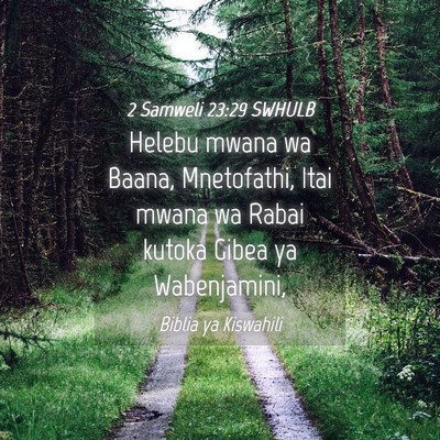 Picture 04 - 2 Samweli 23:29 SWHULB - Helebu mwana wa Baana, Mnetofathi, Itai mwana wa - Bible Verse Picture