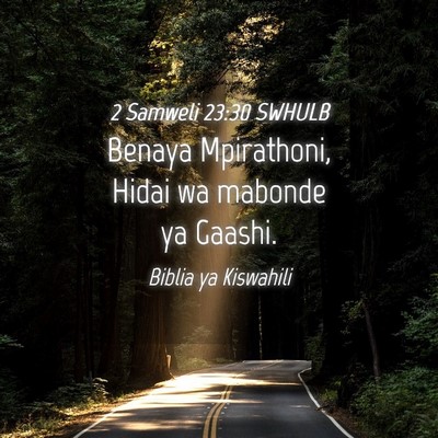 Picture 04 - 2 Samweli 23:30 SWHULB - Benaya Mpirathoni, Hidai wa mabonde ya - Bible Verse Picture