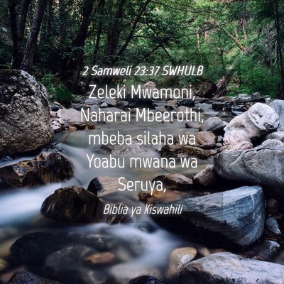Picture 04 - 2 Samweli 23:37 SWHULB - Zeleki Mwamoni, Naharai Mbeerothi, mbeba silaha - Bible Verse Picture