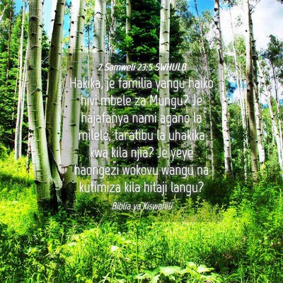 Picture 04 - 2 Samweli 23:5 SWHULB - Hakika, je familia yangu haiko hivi mbele za - Bible Verse Picture