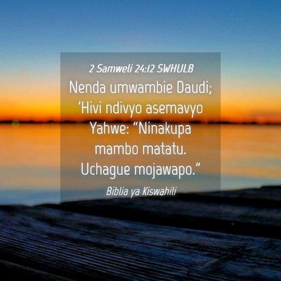 Picture 04 - 2 Samweli 24:12 SWHULB - Nenda umwambie Daudi; 'Hivi ndivyo asemavyo - Bible Verse Picture