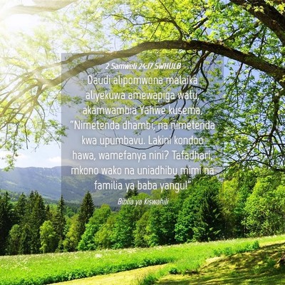 Picture 04 - 2 Samweli 24:17 SWHULB - Daudi alipomwona malaika aliyekuwa amewapiga - Bible Verse Picture