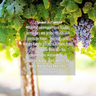 Picture 04 - 2 Samweli 24:2 SWHULB - Mfalme akamwambia Yoabu, jemedari wa jeshi, - Bible Verse Picture