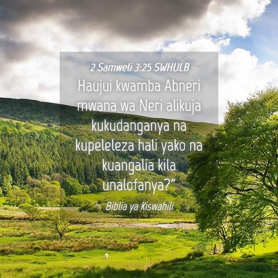 Picture 04 - 2 Samweli 3:25 SWHULB - Haujui kwamba Abneri mwana wa Neri alikuja - Bible Verse Picture