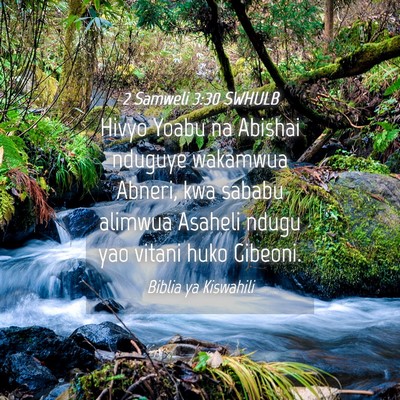 Picture 04 - 2 Samweli 3:30 SWHULB - Hivyo Yoabu na Abishai nduguye wakamwua Abneri, - Bible Verse Picture