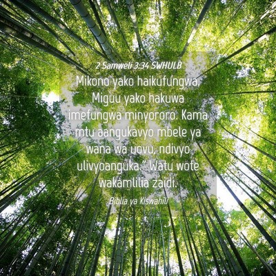 Picture 04 - 2 Samweli 3:34 SWHULB - Mikono yako haikufungwa. Miguu yako hakuwa - Bible Verse Picture